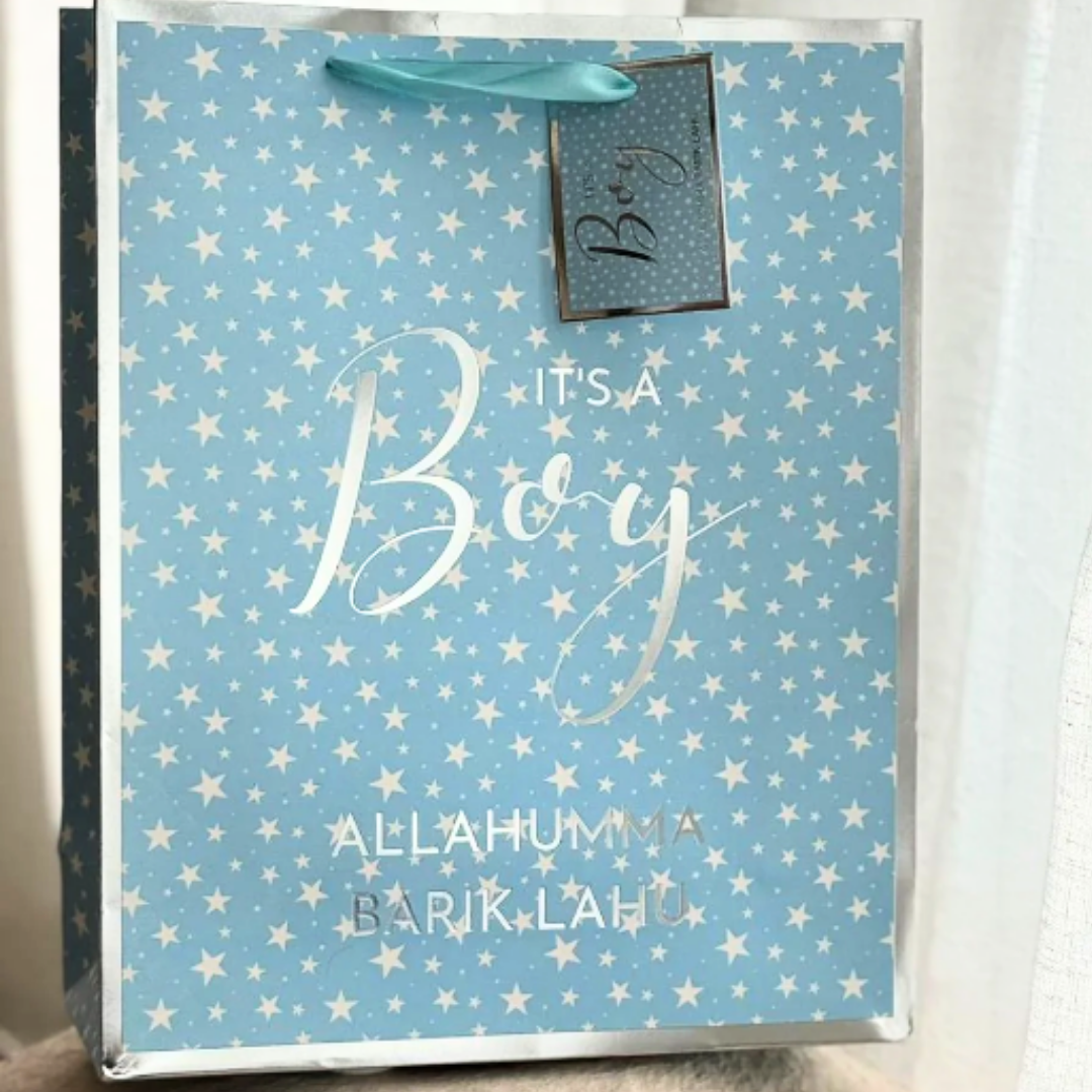 Baby Boy Gift Bag - Blue & Silver
