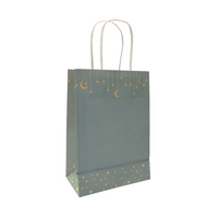 Moon & Stars Treat Bag Bundle (10pk) - Green